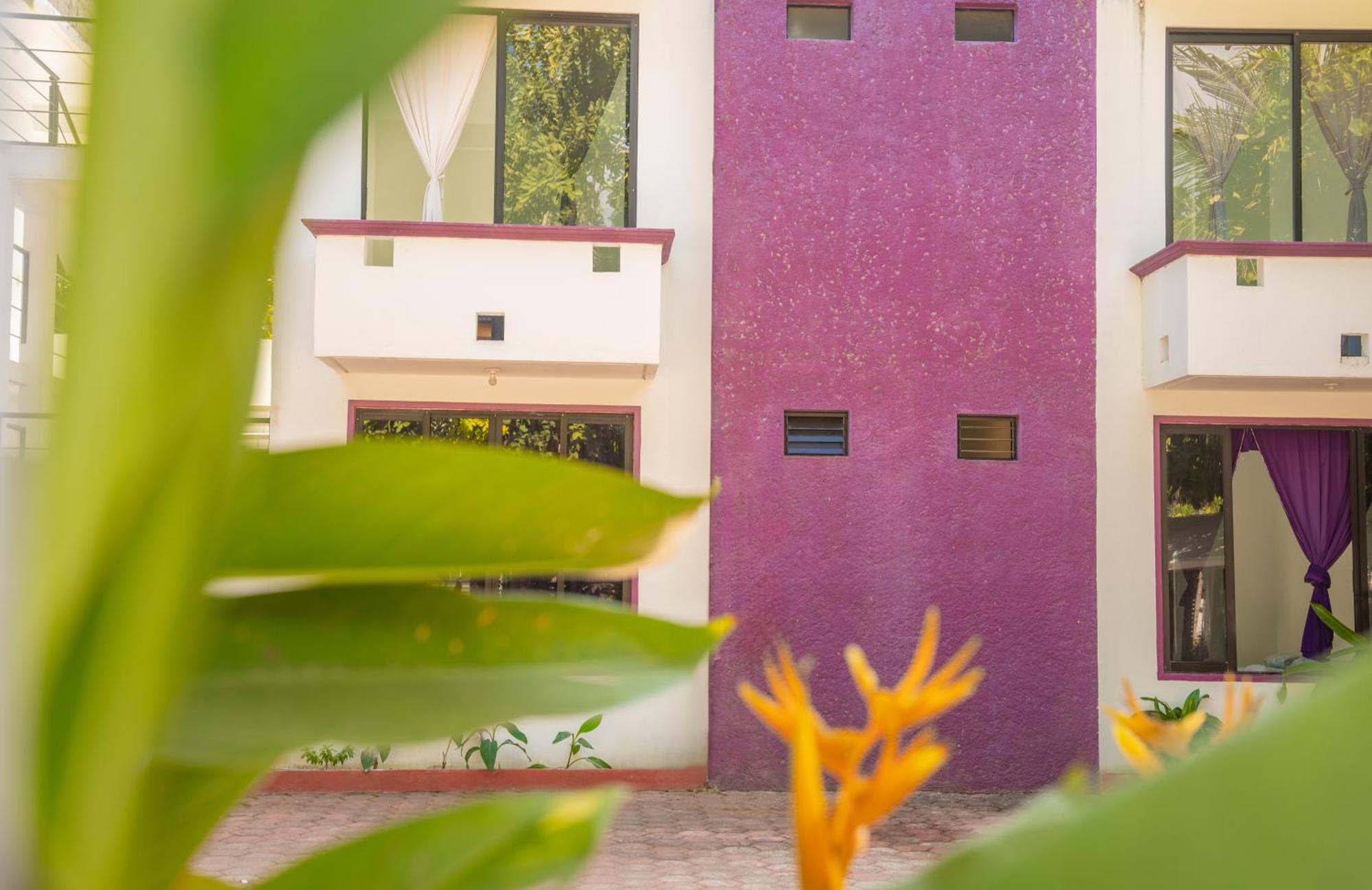 Hotel Palmarito Puerto Escondido  Kültér fotó